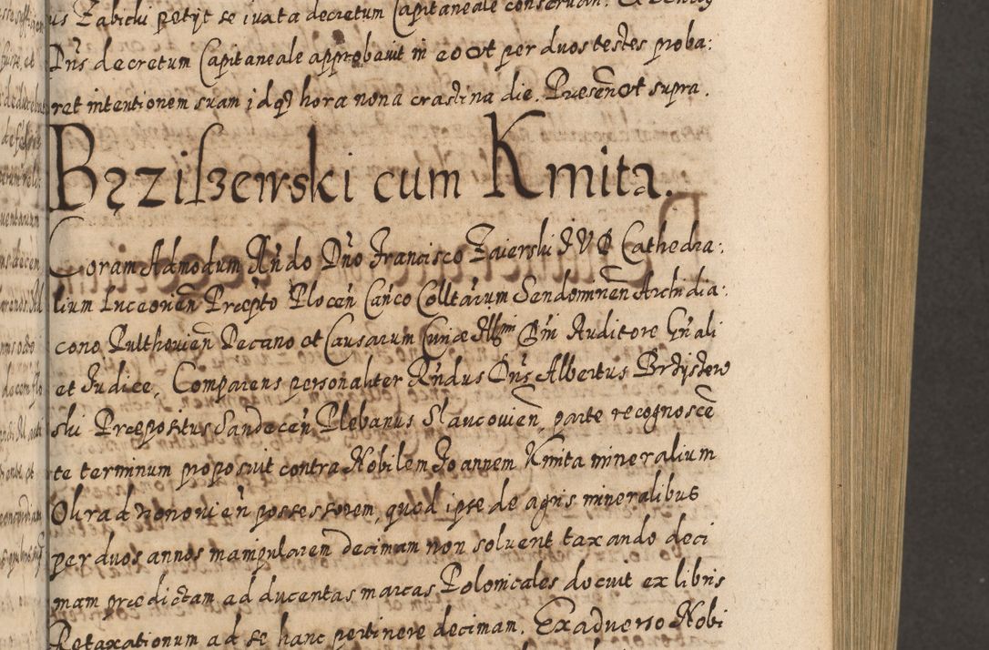 Zdjęcie nr 318 dla obiektu archiwalnego: Acta actorum, causarum spiritualium, civilium, criminalium, obligationum, cessionum, decimarum, testamentorum R. D. Martini Szyszkowski, episcopi Cracoviensis, ducis Severiensis in annis 1617 - 1619. Tomus primus.