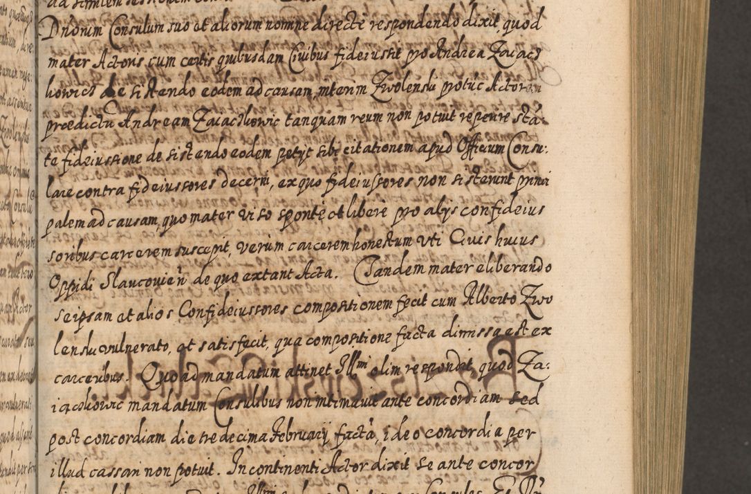 Zdjęcie nr 314 dla obiektu archiwalnego: Acta actorum, causarum spiritualium, civilium, criminalium, obligationum, cessionum, decimarum, testamentorum R. D. Martini Szyszkowski, episcopi Cracoviensis, ducis Severiensis in annis 1617 - 1619. Tomus primus.