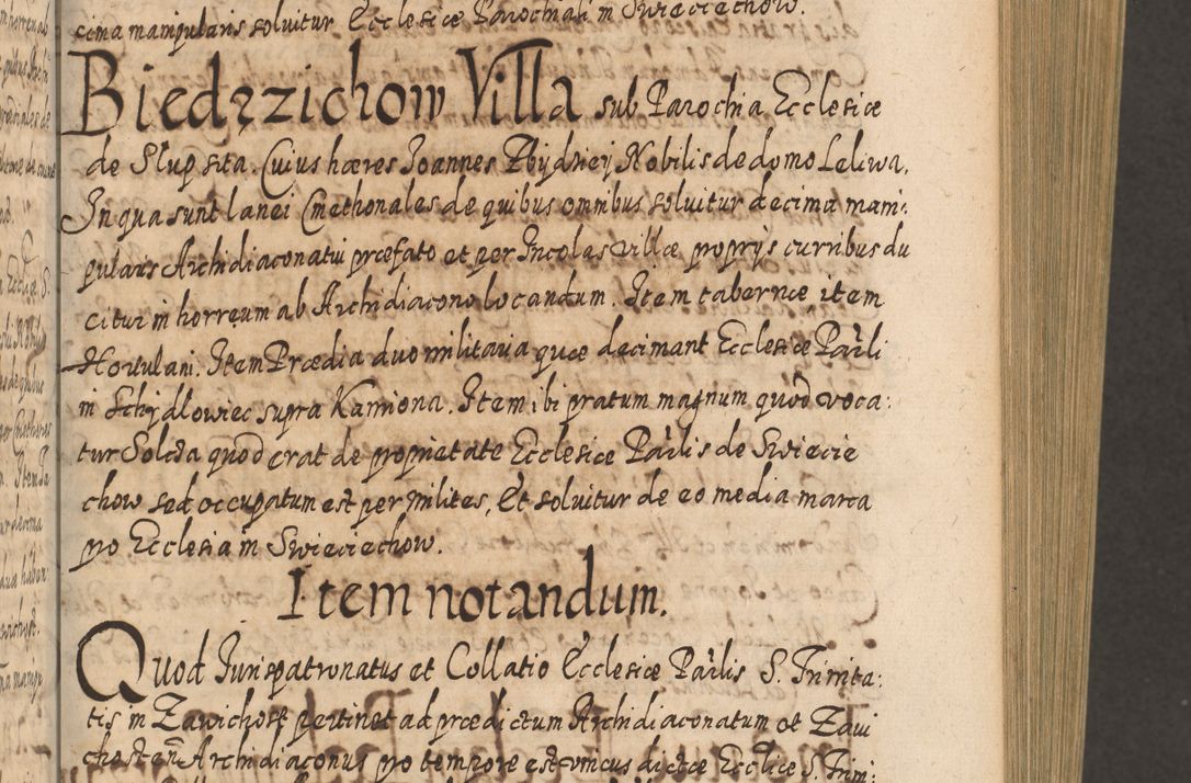 Zdjęcie nr 310 dla obiektu archiwalnego: Acta actorum, causarum spiritualium, civilium, criminalium, obligationum, cessionum, decimarum, testamentorum R. D. Martini Szyszkowski, episcopi Cracoviensis, ducis Severiensis in annis 1617 - 1619. Tomus primus.