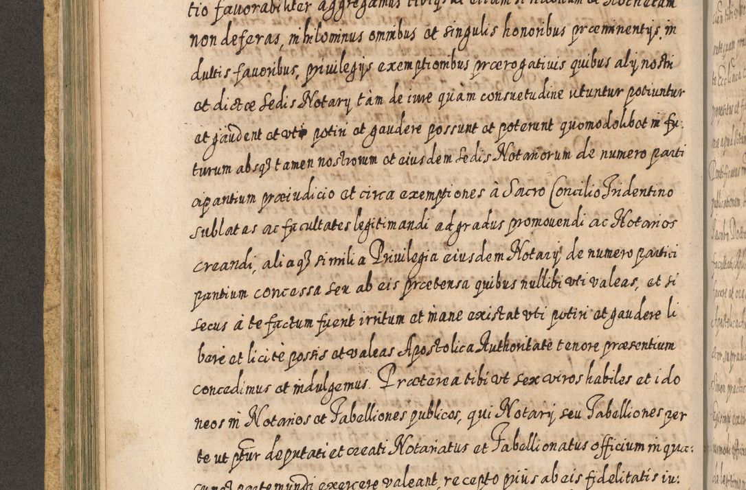 Zdjęcie nr 289 dla obiektu archiwalnego: Acta actorum, causarum spiritualium, civilium, criminalium, obligationum, cessionum, decimarum, testamentorum R. D. Martini Szyszkowski, episcopi Cracoviensis, ducis Severiensis in annis 1617 - 1619. Tomus primus.