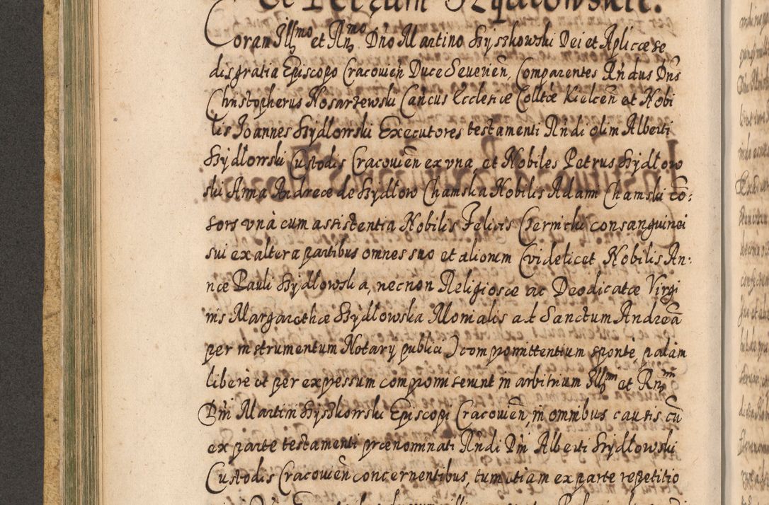 Zdjęcie nr 271 dla obiektu archiwalnego: Acta actorum, causarum spiritualium, civilium, criminalium, obligationum, cessionum, decimarum, testamentorum R. D. Martini Szyszkowski, episcopi Cracoviensis, ducis Severiensis in annis 1617 - 1619. Tomus primus.