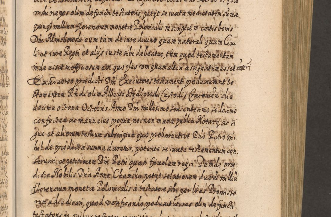 Zdjęcie nr 272 dla obiektu archiwalnego: Acta actorum, causarum spiritualium, civilium, criminalium, obligationum, cessionum, decimarum, testamentorum R. D. Martini Szyszkowski, episcopi Cracoviensis, ducis Severiensis in annis 1617 - 1619. Tomus primus.