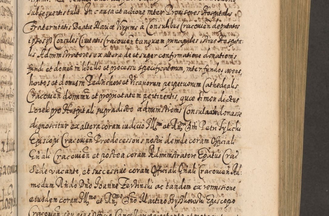Zdjęcie nr 260 dla obiektu archiwalnego: Acta actorum, causarum spiritualium, civilium, criminalium, obligationum, cessionum, decimarum, testamentorum R. D. Martini Szyszkowski, episcopi Cracoviensis, ducis Severiensis in annis 1617 - 1619. Tomus primus.