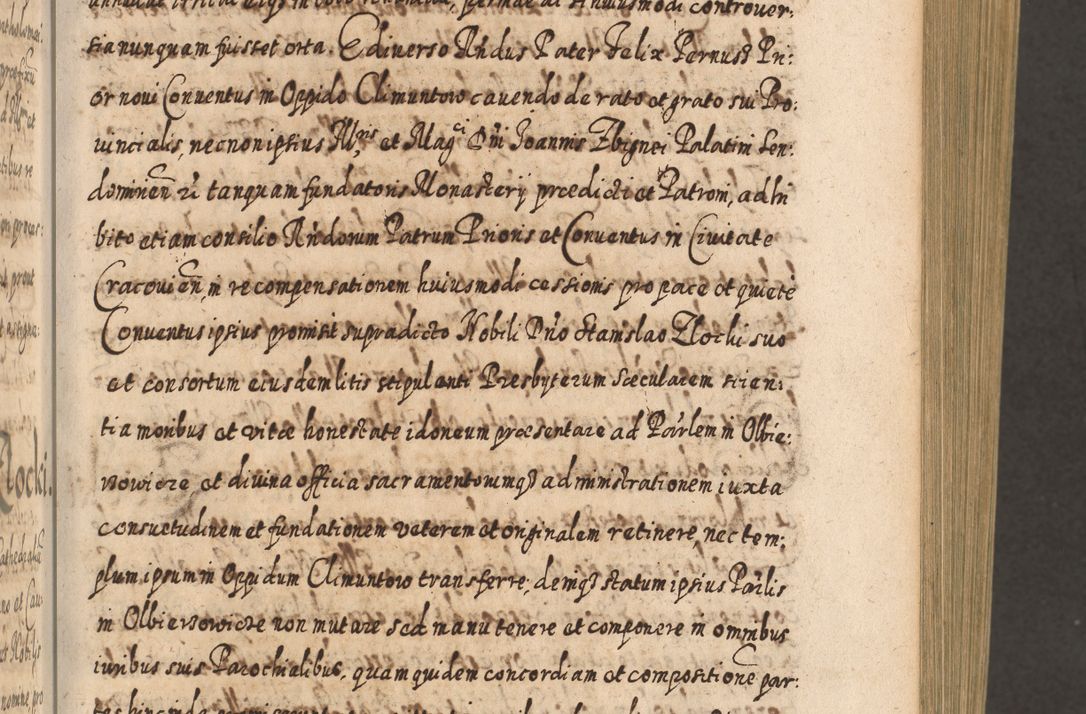 Zdjęcie nr 254 dla obiektu archiwalnego: Acta actorum, causarum spiritualium, civilium, criminalium, obligationum, cessionum, decimarum, testamentorum R. D. Martini Szyszkowski, episcopi Cracoviensis, ducis Severiensis in annis 1617 - 1619. Tomus primus.