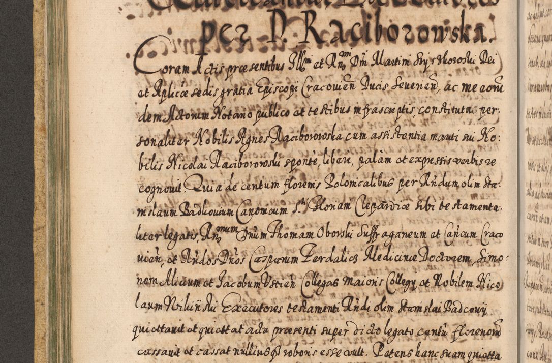 Zdjęcie nr 245 dla obiektu archiwalnego: Acta actorum, causarum spiritualium, civilium, criminalium, obligationum, cessionum, decimarum, testamentorum R. D. Martini Szyszkowski, episcopi Cracoviensis, ducis Severiensis in annis 1617 - 1619. Tomus primus.