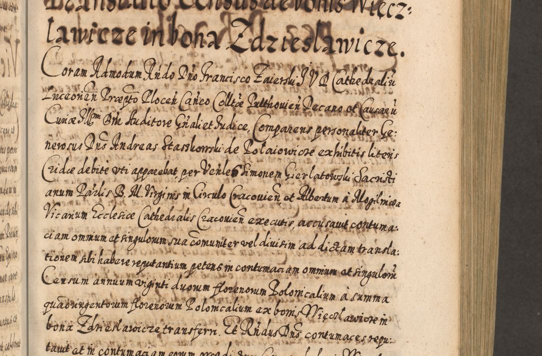 Zdjęcie nr 244 dla obiektu archiwalnego: Acta actorum, causarum spiritualium, civilium, criminalium, obligationum, cessionum, decimarum, testamentorum R. D. Martini Szyszkowski, episcopi Cracoviensis, ducis Severiensis in annis 1617 - 1619. Tomus primus.