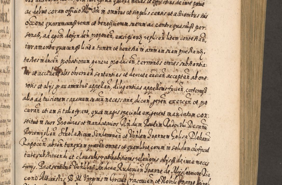 Zdjęcie nr 246 dla obiektu archiwalnego: Acta actorum, causarum spiritualium, civilium, criminalium, obligationum, cessionum, decimarum, testamentorum R. D. Martini Szyszkowski, episcopi Cracoviensis, ducis Severiensis in annis 1617 - 1619. Tomus primus.