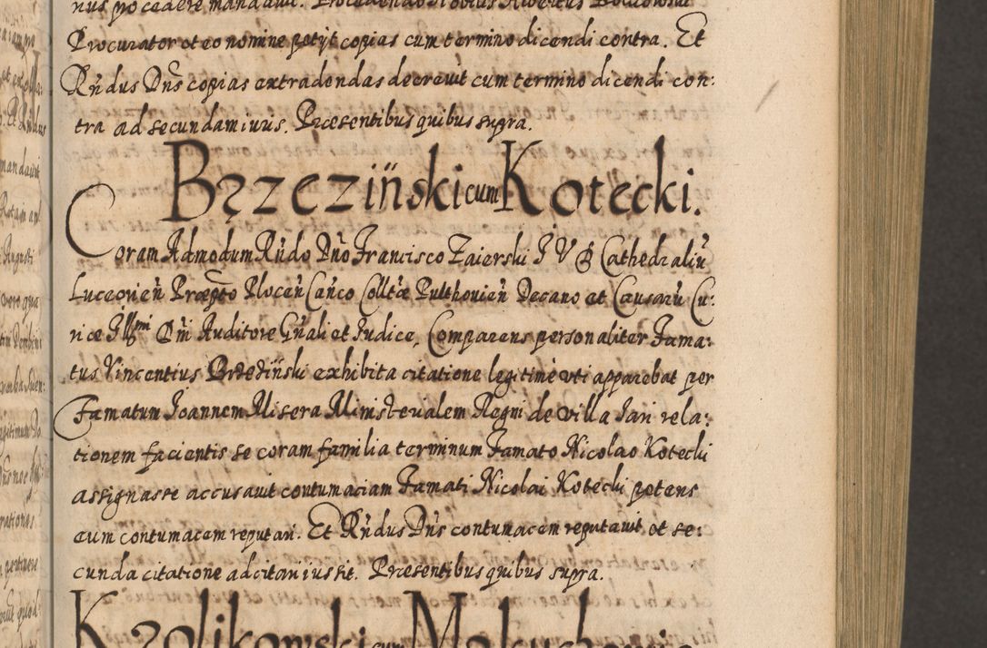 Zdjęcie nr 230 dla obiektu archiwalnego: Acta actorum, causarum spiritualium, civilium, criminalium, obligationum, cessionum, decimarum, testamentorum R. D. Martini Szyszkowski, episcopi Cracoviensis, ducis Severiensis in annis 1617 - 1619. Tomus primus.