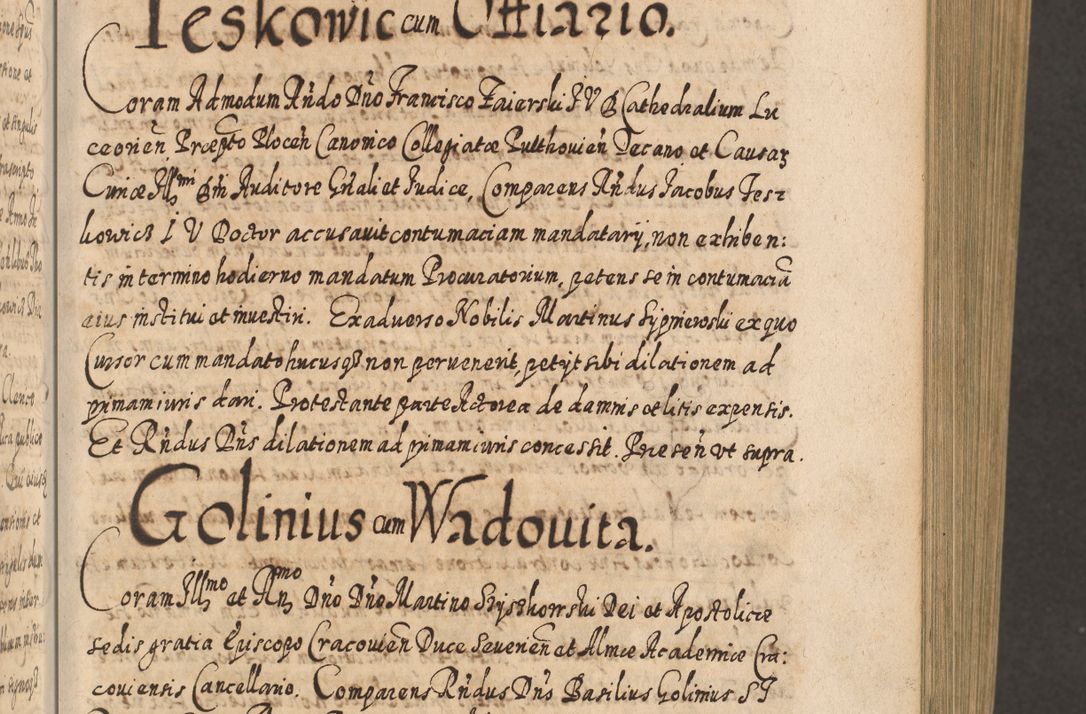 Zdjęcie nr 210 dla obiektu archiwalnego: Acta actorum, causarum spiritualium, civilium, criminalium, obligationum, cessionum, decimarum, testamentorum R. D. Martini Szyszkowski, episcopi Cracoviensis, ducis Severiensis in annis 1617 - 1619. Tomus primus.