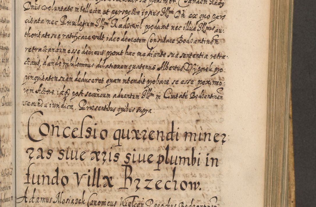Zdjęcie nr 596 dla obiektu archiwalnego: Acta actorum, causarum spiritualium, civilium, criminalium, obligationum, cessionum, decimarum, testamentorum R. D. Martini Szyszkowski, episcopi Cracoviensis, ducis Severiensis in annis 1617 - 1619. Tomus primus.