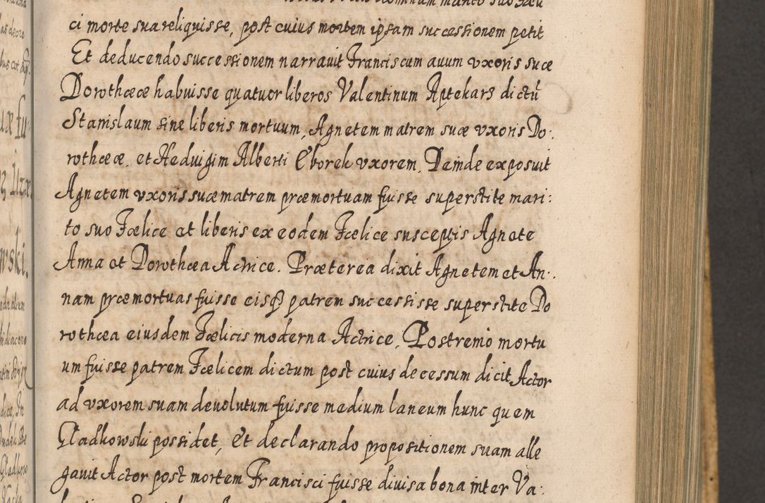 Zdjęcie nr 530 dla obiektu archiwalnego: Acta actorum, causarum spiritualium, civilium, criminalium, obligationum, cessionum, decimarum, testamentorum R. D. Martini Szyszkowski, episcopi Cracoviensis, ducis Severiensis in annis 1617 - 1619. Tomus primus.