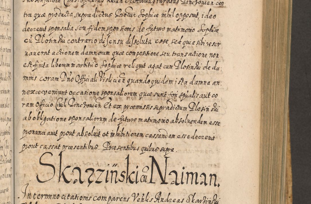 Zdjęcie nr 486 dla obiektu archiwalnego: Acta actorum, causarum spiritualium, civilium, criminalium, obligationum, cessionum, decimarum, testamentorum R. D. Martini Szyszkowski, episcopi Cracoviensis, ducis Severiensis in annis 1617 - 1619. Tomus primus.