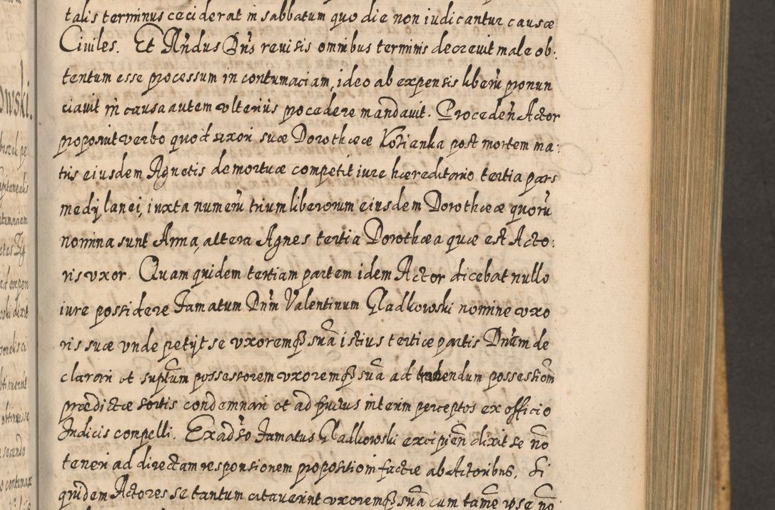 Zdjęcie nr 474 dla obiektu archiwalnego: Acta actorum, causarum spiritualium, civilium, criminalium, obligationum, cessionum, decimarum, testamentorum R. D. Martini Szyszkowski, episcopi Cracoviensis, ducis Severiensis in annis 1617 - 1619. Tomus primus.