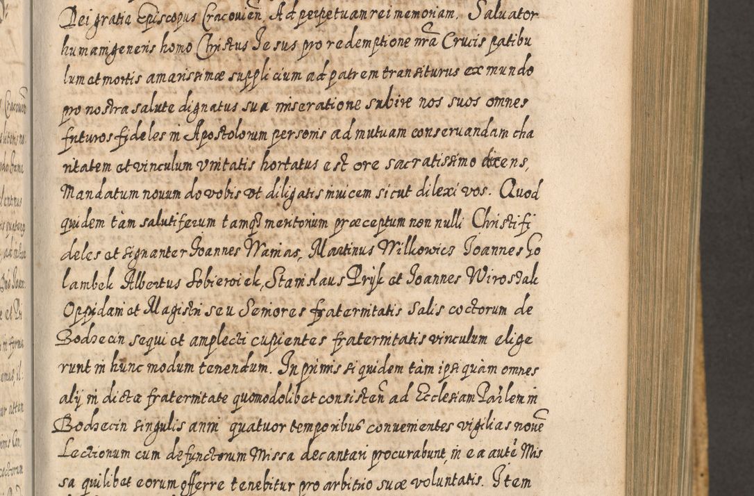 Zdjęcie nr 460 dla obiektu archiwalnego: Acta actorum, causarum spiritualium, civilium, criminalium, obligationum, cessionum, decimarum, testamentorum R. D. Martini Szyszkowski, episcopi Cracoviensis, ducis Severiensis in annis 1617 - 1619. Tomus primus.