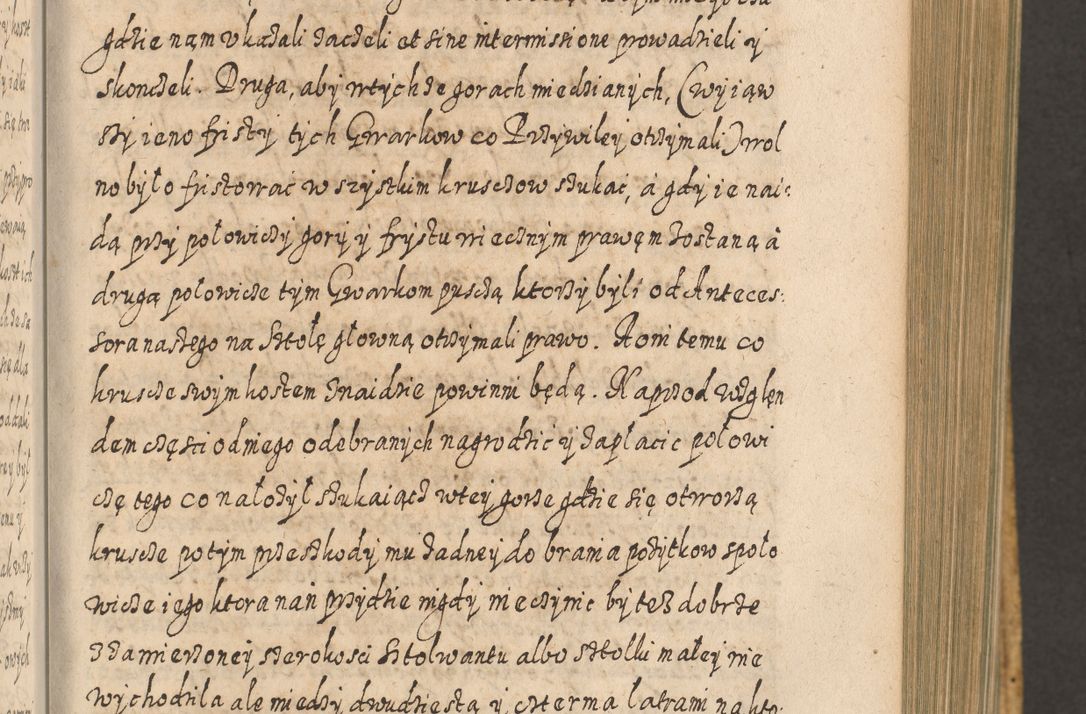 Zdjęcie nr 446 dla obiektu archiwalnego: Acta actorum, causarum spiritualium, civilium, criminalium, obligationum, cessionum, decimarum, testamentorum R. D. Martini Szyszkowski, episcopi Cracoviensis, ducis Severiensis in annis 1617 - 1619. Tomus primus.