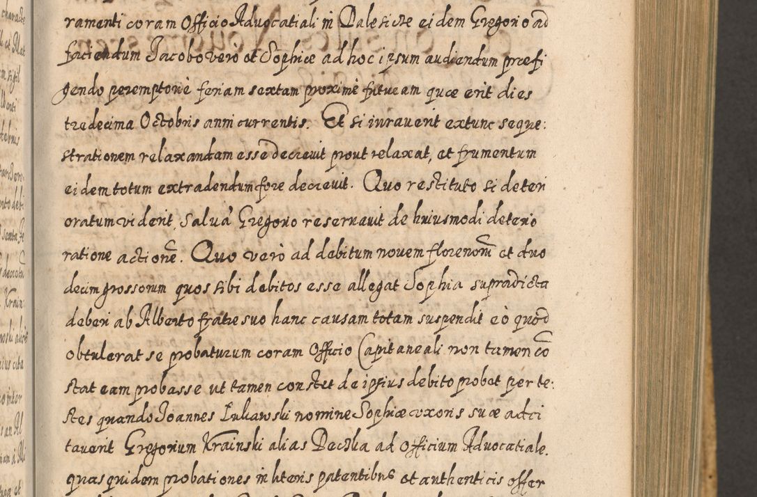 Zdjęcie nr 414 dla obiektu archiwalnego: Acta actorum, causarum spiritualium, civilium, criminalium, obligationum, cessionum, decimarum, testamentorum R. D. Martini Szyszkowski, episcopi Cracoviensis, ducis Severiensis in annis 1617 - 1619. Tomus primus.
