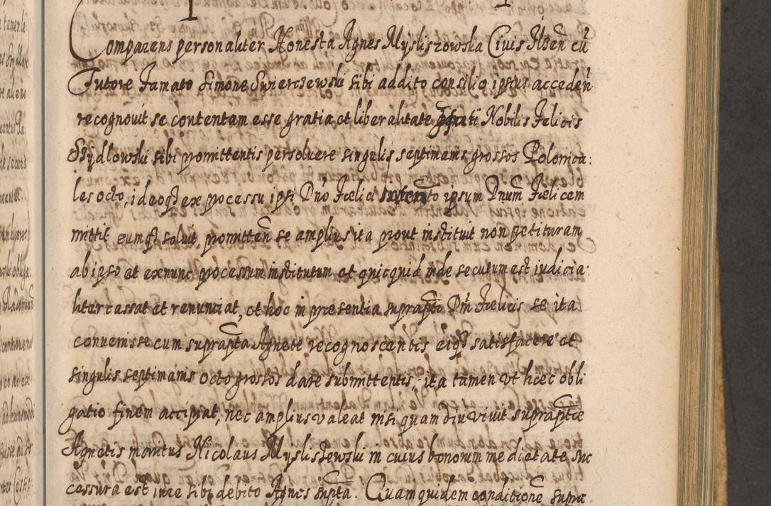 Zdjęcie nr 774 dla obiektu archiwalnego: Acta actorum, causarum spiritualium, civilium, criminalium, obligationum, cessionum, decimarum, testamentorum R. D. Martini Szyszkowski, episcopi Cracoviensis, ducis Severiensis in annis 1617 - 1619. Tomus primus.