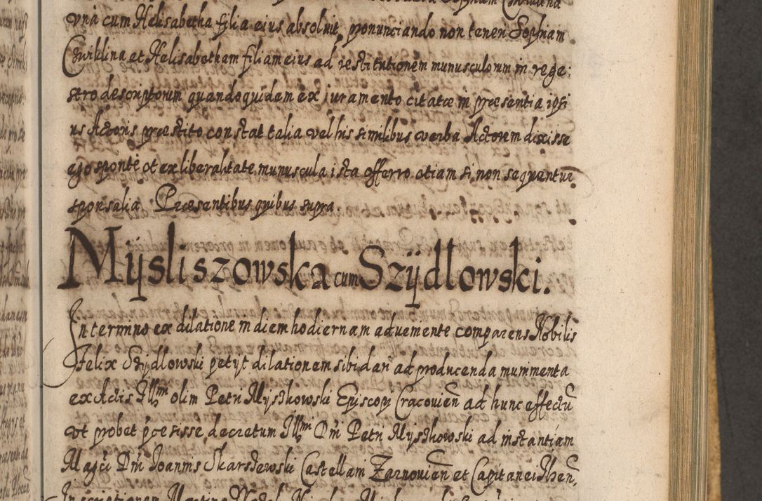 Zdjęcie nr 758 dla obiektu archiwalnego: Acta actorum, causarum spiritualium, civilium, criminalium, obligationum, cessionum, decimarum, testamentorum R. D. Martini Szyszkowski, episcopi Cracoviensis, ducis Severiensis in annis 1617 - 1619. Tomus primus.