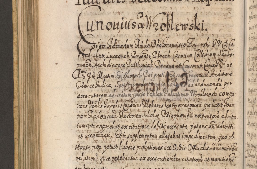 Zdjęcie nr 729 dla obiektu archiwalnego: Acta actorum, causarum spiritualium, civilium, criminalium, obligationum, cessionum, decimarum, testamentorum R. D. Martini Szyszkowski, episcopi Cracoviensis, ducis Severiensis in annis 1617 - 1619. Tomus primus.