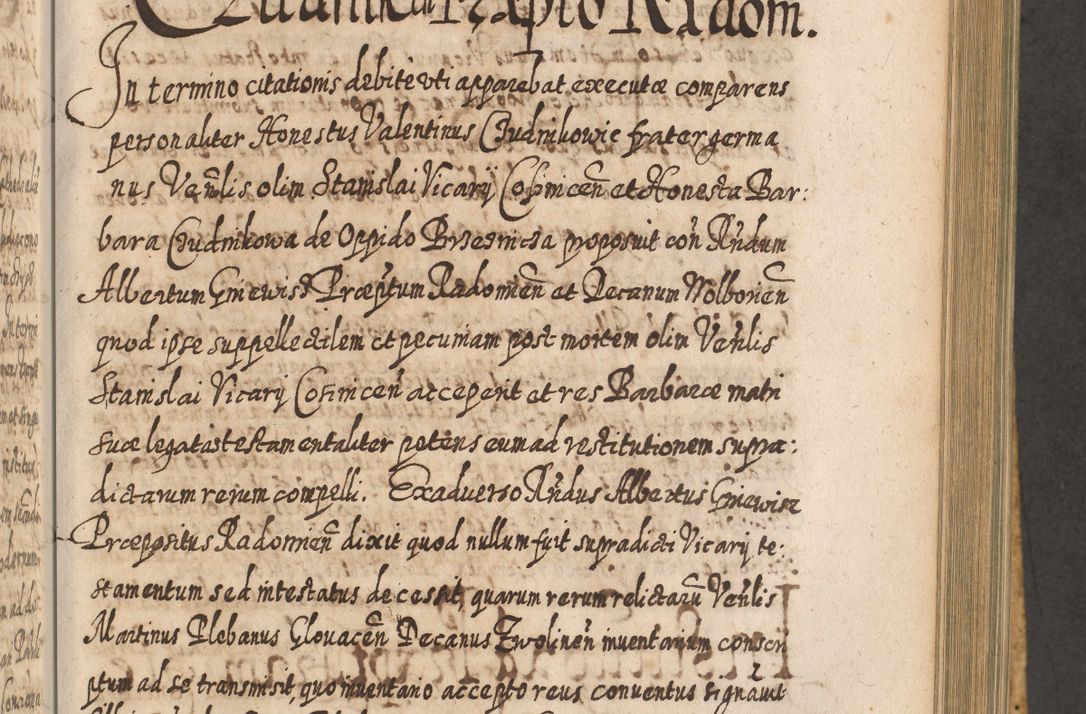 Zdjęcie nr 680 dla obiektu archiwalnego: Acta actorum, causarum spiritualium, civilium, criminalium, obligationum, cessionum, decimarum, testamentorum R. D. Martini Szyszkowski, episcopi Cracoviensis, ducis Severiensis in annis 1617 - 1619. Tomus primus.