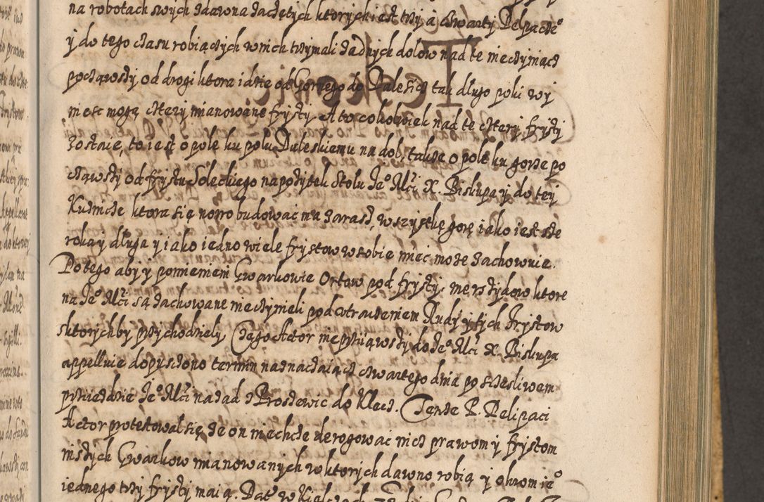 Zdjęcie nr 678 dla obiektu archiwalnego: Acta actorum, causarum spiritualium, civilium, criminalium, obligationum, cessionum, decimarum, testamentorum R. D. Martini Szyszkowski, episcopi Cracoviensis, ducis Severiensis in annis 1617 - 1619. Tomus primus.