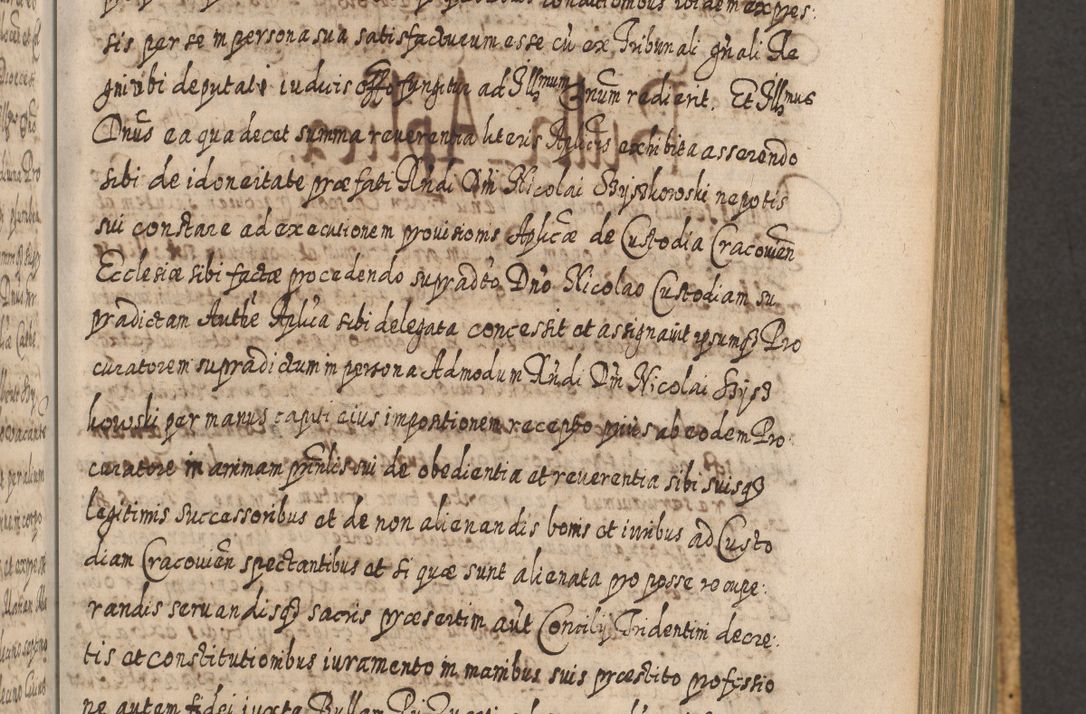 Zdjęcie nr 628 dla obiektu archiwalnego: Acta actorum, causarum spiritualium, civilium, criminalium, obligationum, cessionum, decimarum, testamentorum R. D. Martini Szyszkowski, episcopi Cracoviensis, ducis Severiensis in annis 1617 - 1619. Tomus primus.