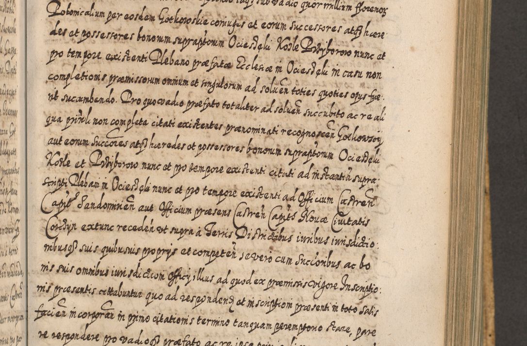 Zdjęcie nr 624 dla obiektu archiwalnego: Acta actorum, causarum spiritualium, civilium, criminalium, obligationum, cessionum, decimarum, testamentorum R. D. Martini Szyszkowski, episcopi Cracoviensis, ducis Severiensis in annis 1617 - 1619. Tomus primus.
