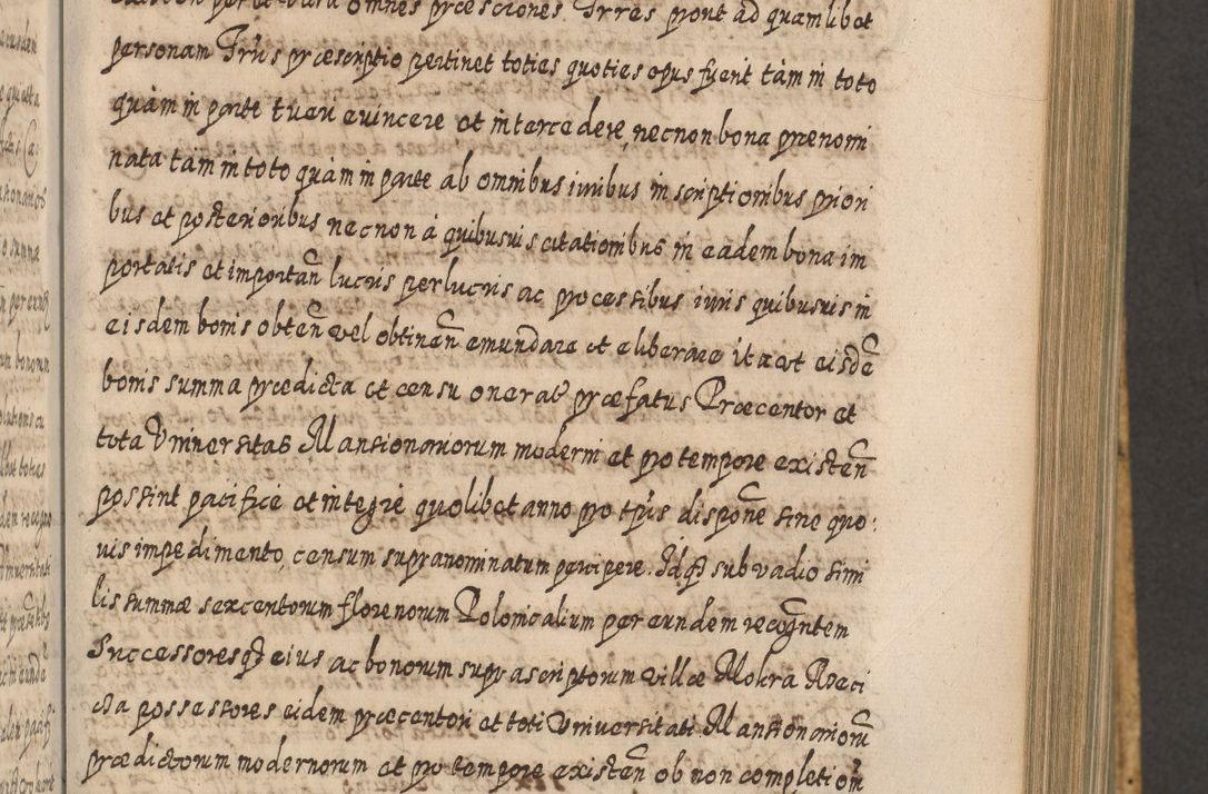 Zdjęcie nr 612 dla obiektu archiwalnego: Acta actorum, causarum spiritualium, civilium, criminalium, obligationum, cessionum, decimarum, testamentorum R. D. Martini Szyszkowski, episcopi Cracoviensis, ducis Severiensis in annis 1617 - 1619. Tomus primus.
