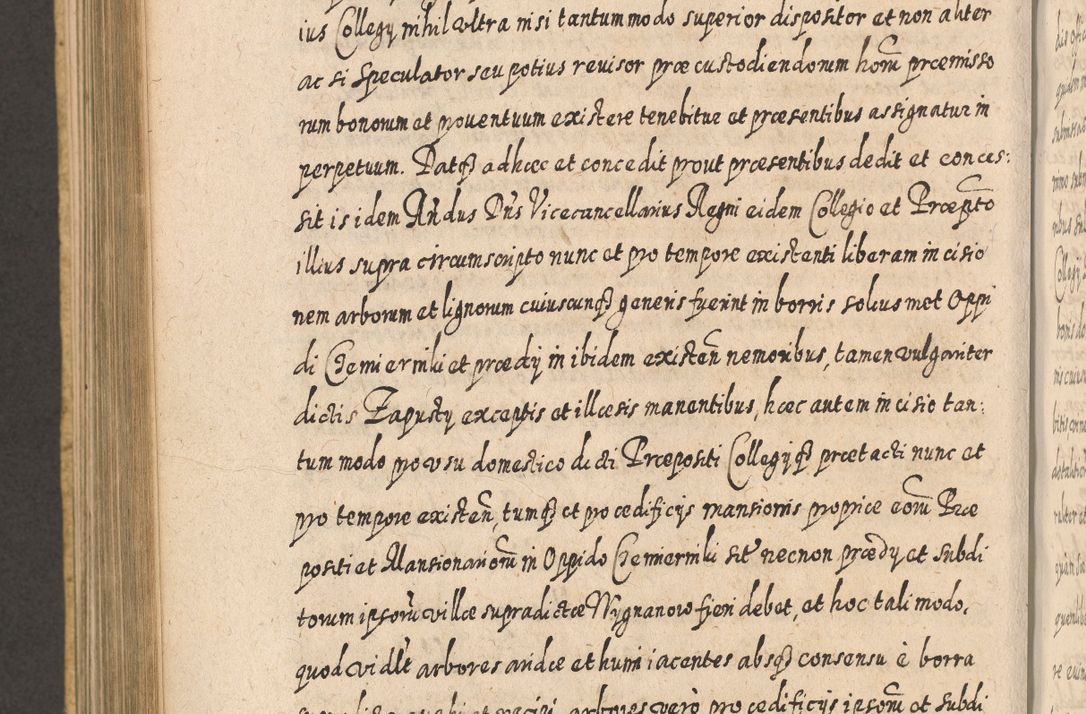 Zdjęcie nr 899 dla obiektu archiwalnego: Acta actorum, causarum spiritualium, civilium, criminalium, obligationum, cessionum, decimarum, testamentorum R. D. Martini Szyszkowski, episcopi Cracoviensis, ducis Severiensis in annis 1617 - 1619. Tomus primus.