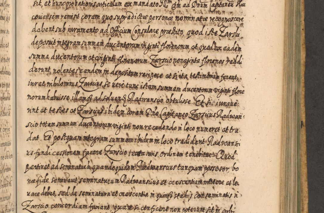 Zdjęcie nr 864 dla obiektu archiwalnego: Acta actorum, causarum spiritualium, civilium, criminalium, obligationum, cessionum, decimarum, testamentorum R. D. Martini Szyszkowski, episcopi Cracoviensis, ducis Severiensis in annis 1617 - 1619. Tomus primus.
