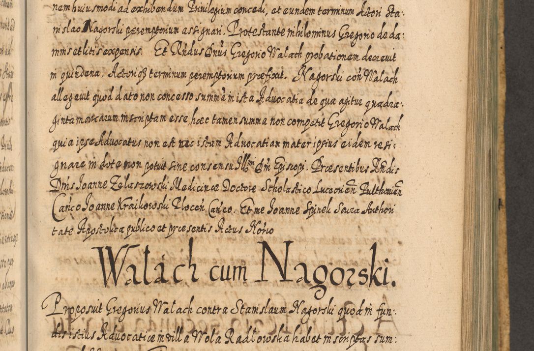 Zdjęcie nr 844 dla obiektu archiwalnego: Acta actorum, causarum spiritualium, civilium, criminalium, obligationum, cessionum, decimarum, testamentorum R. D. Martini Szyszkowski, episcopi Cracoviensis, ducis Severiensis in annis 1617 - 1619. Tomus primus.