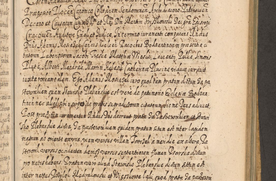 Zdjęcie nr 818 dla obiektu archiwalnego: Acta actorum, causarum spiritualium, civilium, criminalium, obligationum, cessionum, decimarum, testamentorum R. D. Martini Szyszkowski, episcopi Cracoviensis, ducis Severiensis in annis 1617 - 1619. Tomus primus.