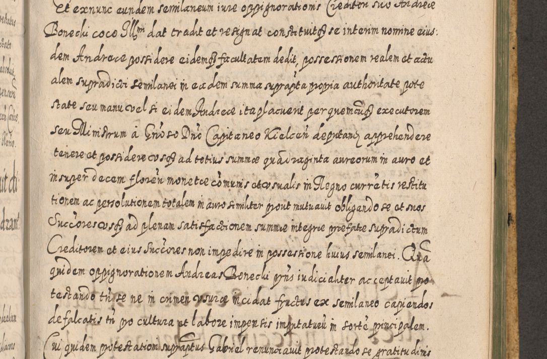 Zdjęcie nr 1189 dla obiektu archiwalnego: Acta actorum, causarum spiritualium, civilium, criminalium, obligationum, cessionum, decimarum, testamentorum R. D. Martini Szyszkowski, episcopi Cracoviensis, ducis Severiensis in annis 1617 - 1619. Tomus primus.