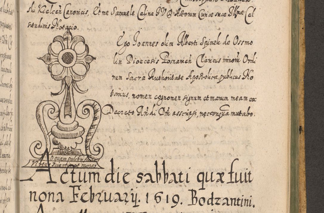 Zdjęcie nr 1185 dla obiektu archiwalnego: Acta actorum, causarum spiritualium, civilium, criminalium, obligationum, cessionum, decimarum, testamentorum R. D. Martini Szyszkowski, episcopi Cracoviensis, ducis Severiensis in annis 1617 - 1619. Tomus primus.