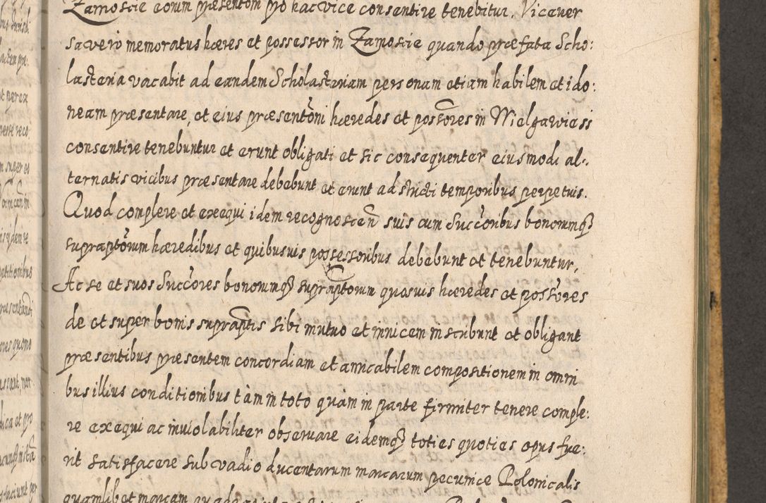 Zdjęcie nr 1101 dla obiektu archiwalnego: Acta actorum, causarum spiritualium, civilium, criminalium, obligationum, cessionum, decimarum, testamentorum R. D. Martini Szyszkowski, episcopi Cracoviensis, ducis Severiensis in annis 1617 - 1619. Tomus primus.