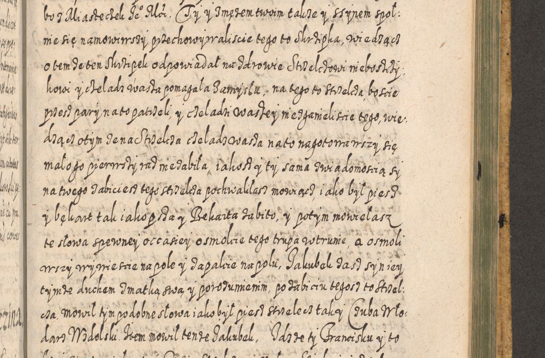 Zdjęcie nr 1333 dla obiektu archiwalnego: Acta actorum, causarum spiritualium, civilium, criminalium, obligationum, cessionum, decimarum, testamentorum R. D. Martini Szyszkowski, episcopi Cracoviensis, ducis Severiensis in annis 1617 - 1619. Tomus primus.