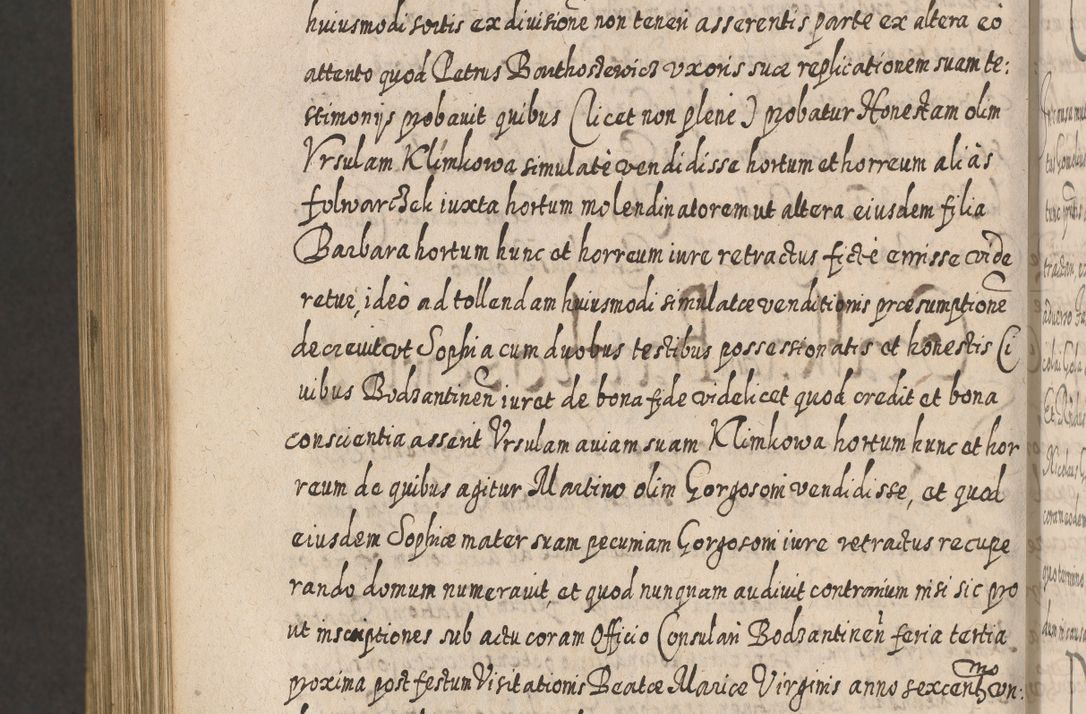 Zdjęcie nr 1324 dla obiektu archiwalnego: Acta actorum, causarum spiritualium, civilium, criminalium, obligationum, cessionum, decimarum, testamentorum R. D. Martini Szyszkowski, episcopi Cracoviensis, ducis Severiensis in annis 1617 - 1619. Tomus primus.