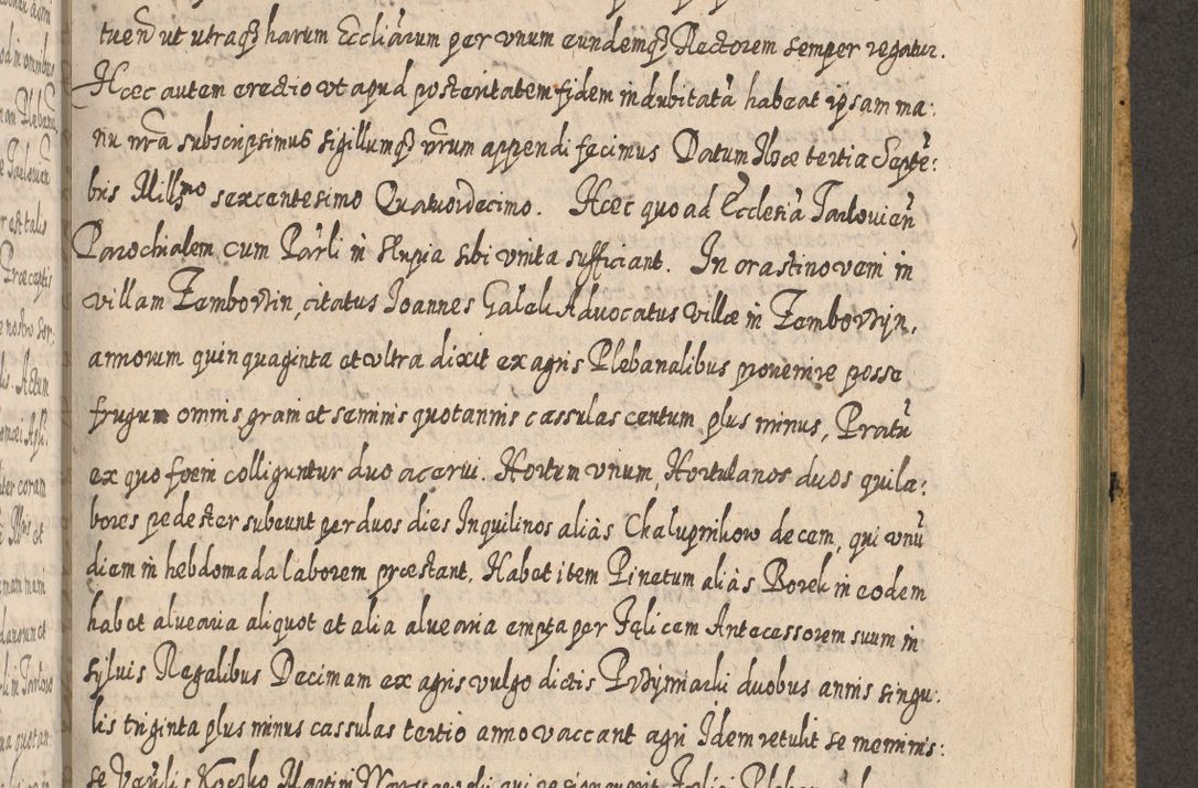 Zdjęcie nr 1277 dla obiektu archiwalnego: Acta actorum, causarum spiritualium, civilium, criminalium, obligationum, cessionum, decimarum, testamentorum R. D. Martini Szyszkowski, episcopi Cracoviensis, ducis Severiensis in annis 1617 - 1619. Tomus primus.
