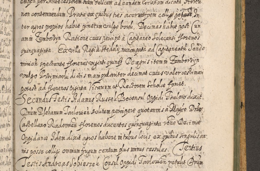 Zdjęcie nr 1275 dla obiektu archiwalnego: Acta actorum, causarum spiritualium, civilium, criminalium, obligationum, cessionum, decimarum, testamentorum R. D. Martini Szyszkowski, episcopi Cracoviensis, ducis Severiensis in annis 1617 - 1619. Tomus primus.