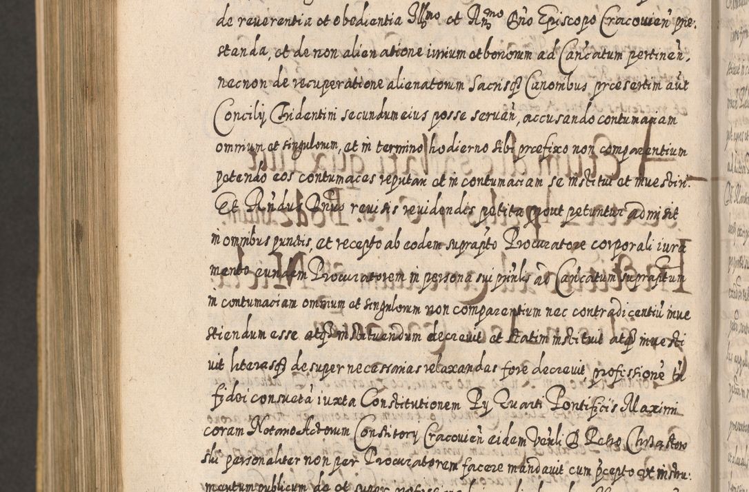 Zdjęcie nr 1234 dla obiektu archiwalnego: Acta actorum, causarum spiritualium, civilium, criminalium, obligationum, cessionum, decimarum, testamentorum R. D. Martini Szyszkowski, episcopi Cracoviensis, ducis Severiensis in annis 1617 - 1619. Tomus primus.