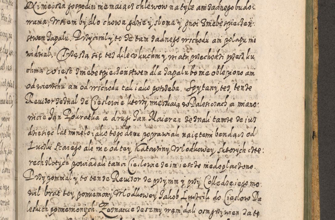 Zdjęcie nr 1229 dla obiektu archiwalnego: Acta actorum, causarum spiritualium, civilium, criminalium, obligationum, cessionum, decimarum, testamentorum R. D. Martini Szyszkowski, episcopi Cracoviensis, ducis Severiensis in annis 1617 - 1619. Tomus primus.