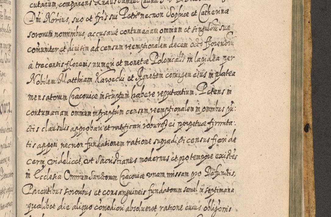 Zdjęcie nr 1562 dla obiektu archiwalnego: Acta actorum, causarum spiritualium, civilium, criminalium, obligationum, cessionum, decimarum, testamentorum R. D. Martini Szyszkowski, episcopi Cracoviensis, ducis Severiensis in annis 1617 - 1619. Tomus primus.