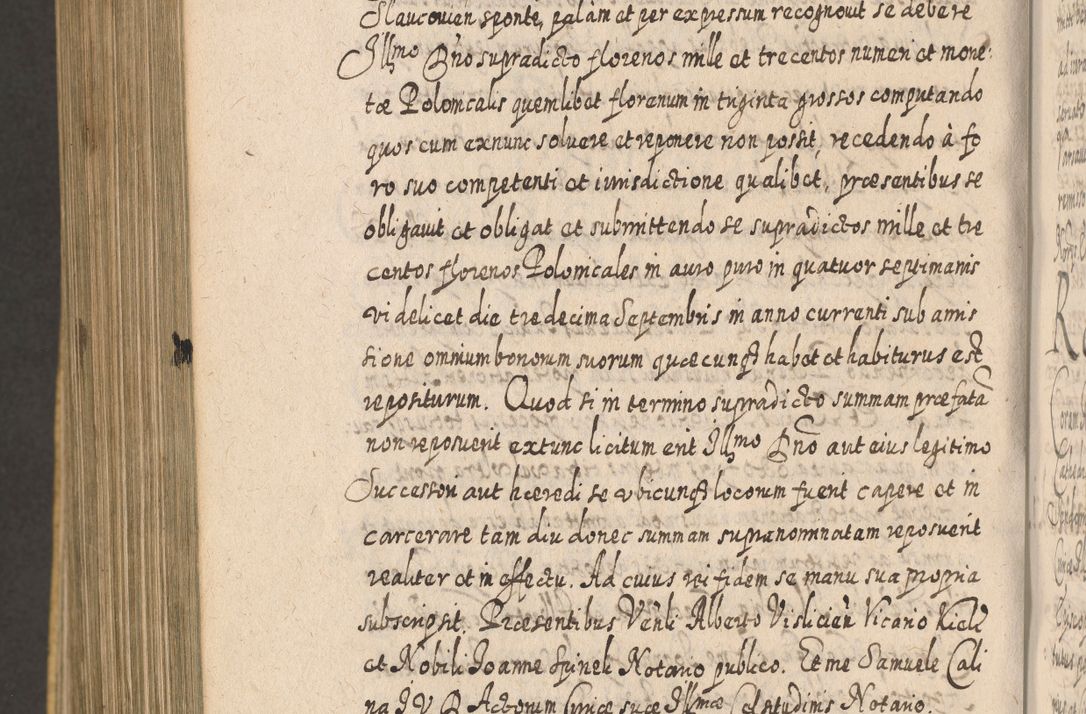 Zdjęcie nr 1463 dla obiektu archiwalnego: Acta actorum, causarum spiritualium, civilium, criminalium, obligationum, cessionum, decimarum, testamentorum R. D. Martini Szyszkowski, episcopi Cracoviensis, ducis Severiensis in annis 1617 - 1619. Tomus primus.