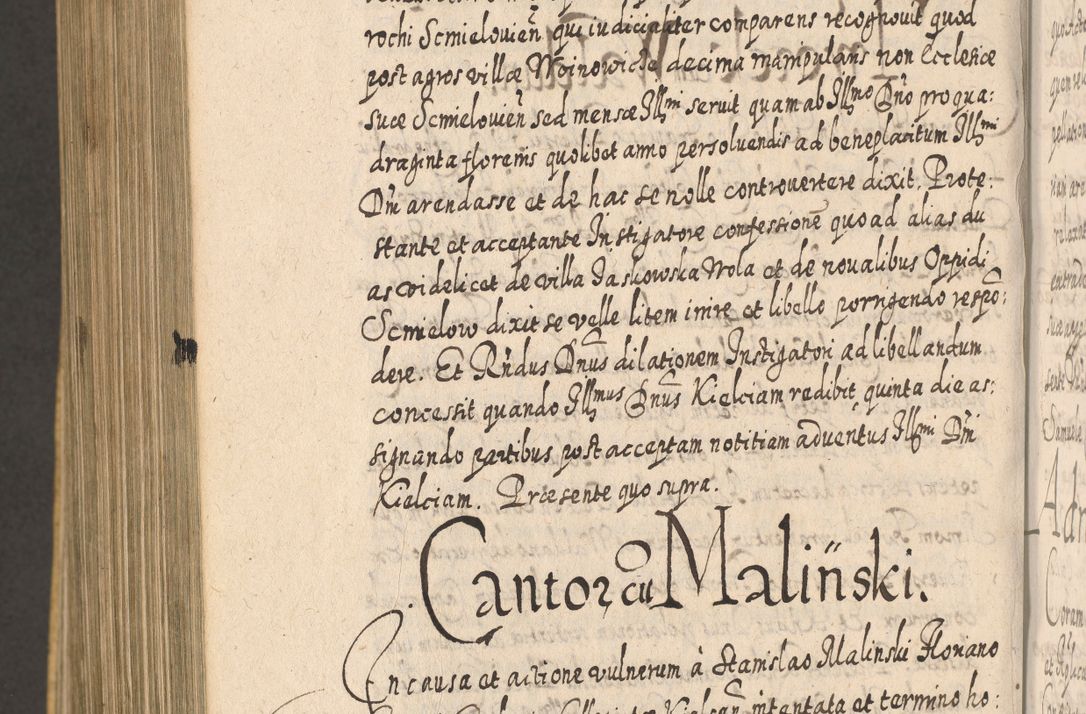 Zdjęcie nr 1459 dla obiektu archiwalnego: Acta actorum, causarum spiritualium, civilium, criminalium, obligationum, cessionum, decimarum, testamentorum R. D. Martini Szyszkowski, episcopi Cracoviensis, ducis Severiensis in annis 1617 - 1619. Tomus primus.