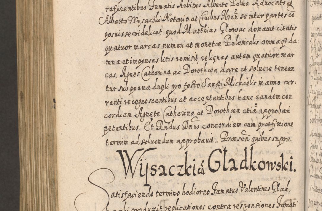 Zdjęcie nr 1419 dla obiektu archiwalnego: Acta actorum, causarum spiritualium, civilium, criminalium, obligationum, cessionum, decimarum, testamentorum R. D. Martini Szyszkowski, episcopi Cracoviensis, ducis Severiensis in annis 1617 - 1619. Tomus primus.