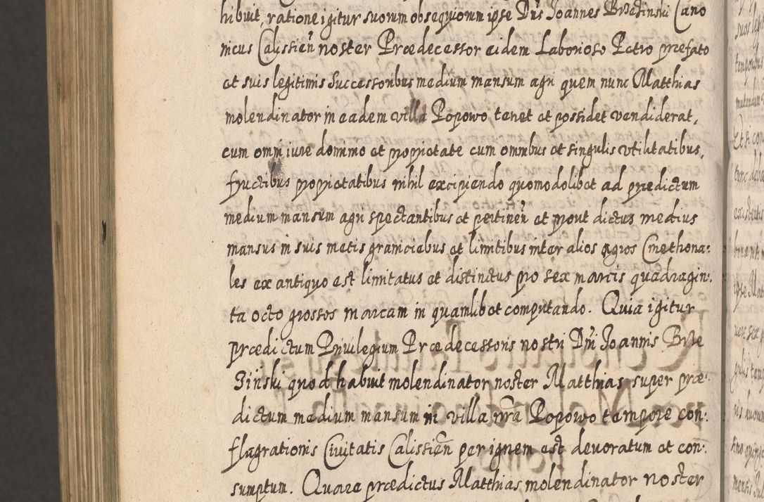 Zdjęcie nr 1715 dla obiektu archiwalnego: Acta actorum, causarum spiritualium, civilium, criminalium, obligationum, cessionum, decimarum, testamentorum R. D. Martini Szyszkowski, episcopi Cracoviensis, ducis Severiensis in annis 1617 - 1619. Tomus primus.