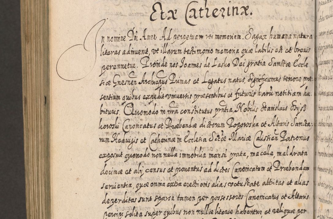 Zdjęcie nr 1705 dla obiektu archiwalnego: Acta actorum, causarum spiritualium, civilium, criminalium, obligationum, cessionum, decimarum, testamentorum R. D. Martini Szyszkowski, episcopi Cracoviensis, ducis Severiensis in annis 1617 - 1619. Tomus primus.