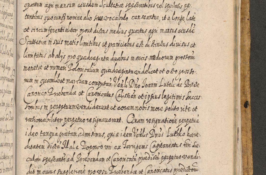 Zdjęcie nr 1696 dla obiektu archiwalnego: Acta actorum, causarum spiritualium, civilium, criminalium, obligationum, cessionum, decimarum, testamentorum R. D. Martini Szyszkowski, episcopi Cracoviensis, ducis Severiensis in annis 1617 - 1619. Tomus primus.