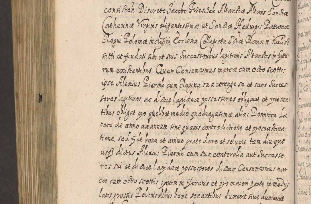 Zdjęcie nr 1677 dla obiektu archiwalnego: Acta actorum, causarum spiritualium, civilium, criminalium, obligationum, cessionum, decimarum, testamentorum R. D. Martini Szyszkowski, episcopi Cracoviensis, ducis Severiensis in annis 1617 - 1619. Tomus primus.