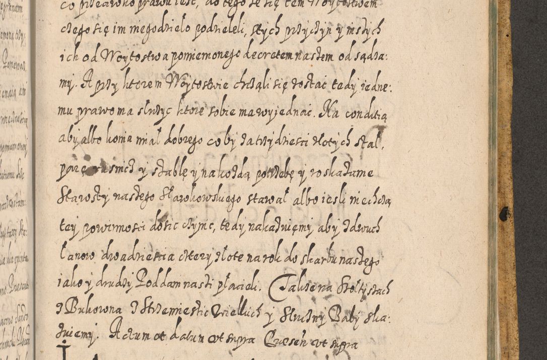 Zdjęcie nr 1656 dla obiektu archiwalnego: Acta actorum, causarum spiritualium, civilium, criminalium, obligationum, cessionum, decimarum, testamentorum R. D. Martini Szyszkowski, episcopi Cracoviensis, ducis Severiensis in annis 1617 - 1619. Tomus primus.